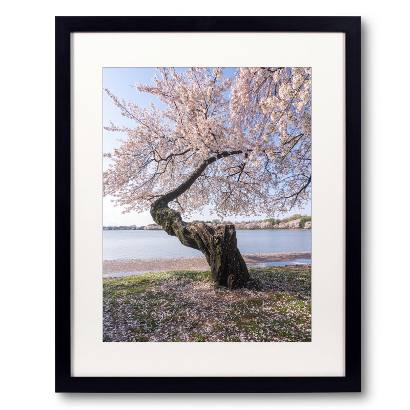 Petals Everywhere Print by Angela Pan, Black Framed Paper, 30" H x 24" W