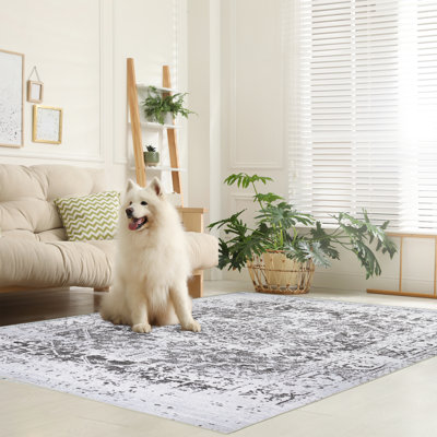 Washable Oriental Indoor Rug