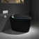 Unique Smart Toilet With Bidet Built In