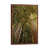 Classic Brown Wood Framed selected