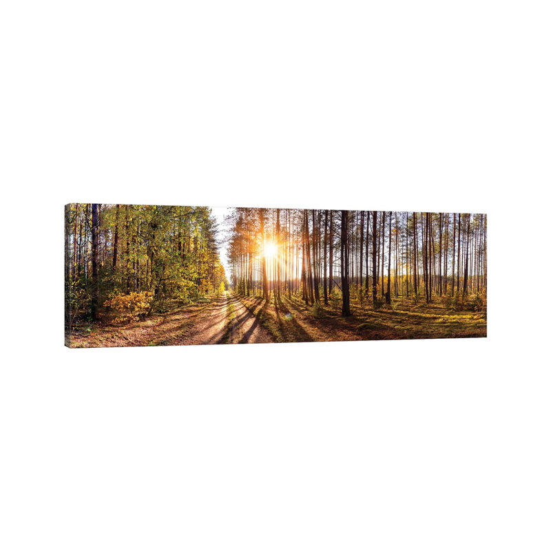 Sunny Day In Forest Panorama - Wrapped Canvas Panoramic Print, 121.92 cm H x 40.64 cm W x 1.91 cm D