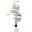 Arbre d'intérieur réaliste Nandina-1465964946
