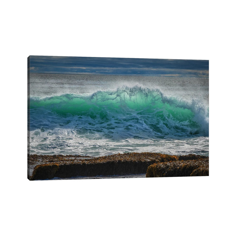 Backlit Green by David Gardiner - Gallery-Wrapped Canvas Giclée on Canvas, Wrapped Canvas