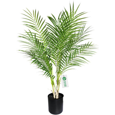 30'' Plant