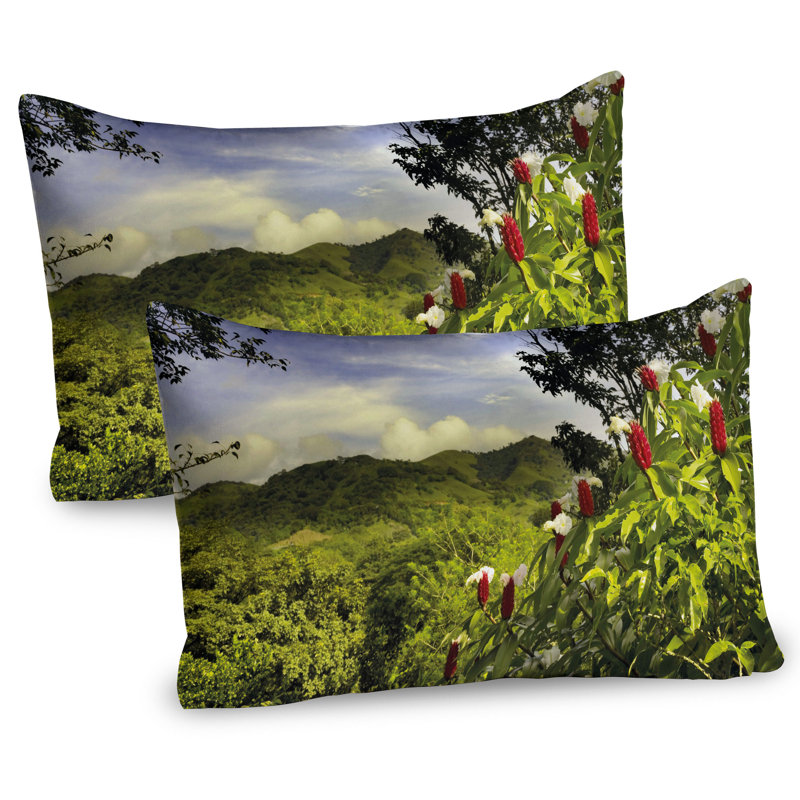 Ensemble de 2 taies décoratives Ambesonne Forest, H 20 po x l 36 po