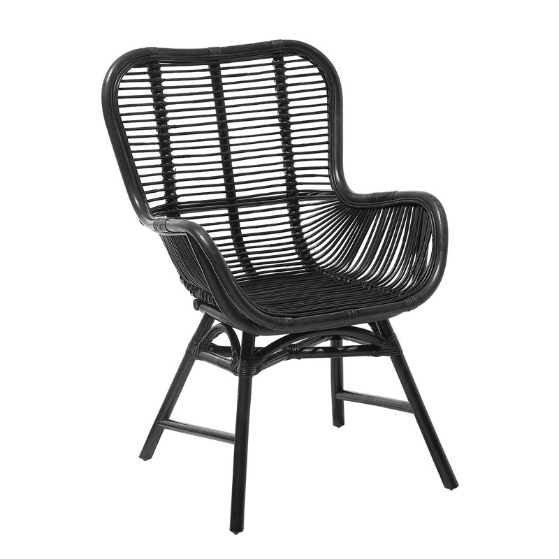 Gaelen Patio Dining Armchair with Cushion, Black