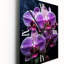Orchidées rayonnantes fleurs mauves - Horloges murales florales-99632479