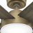 Donatella 52" 6 - Blade Ceiling Fan with Lights and Remote-83665631