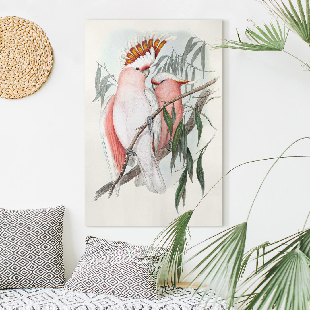 Leinwandbild Pastel Parrots I