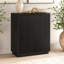2 - Door Rectangle Accent Cabinet-339857912