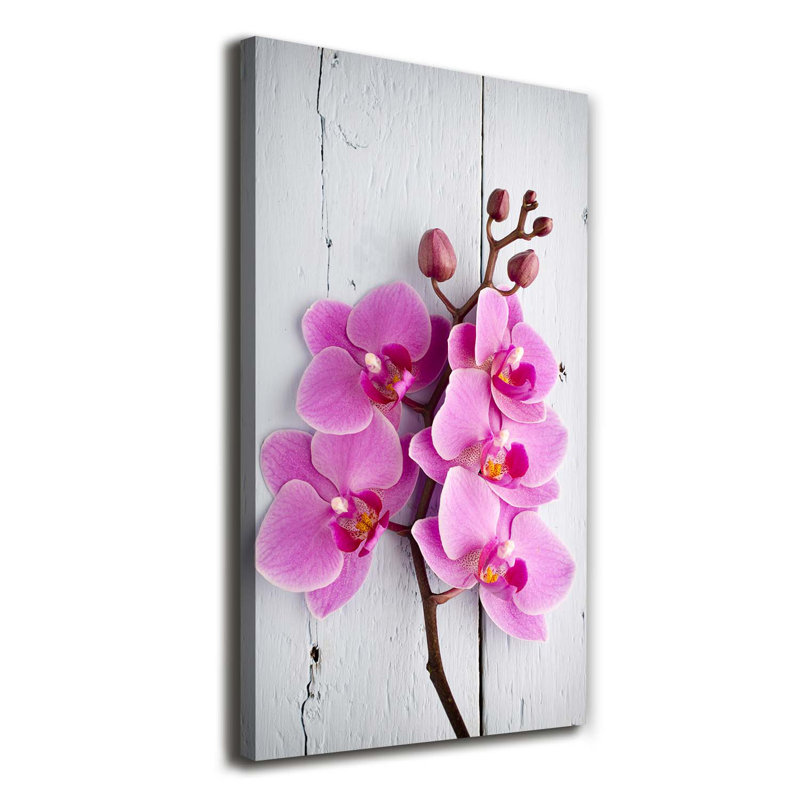 Pink Orchid - Wrapped Canvas Print