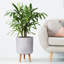 Dotted Style Cylinder Planter with Feet-901821042-901821046