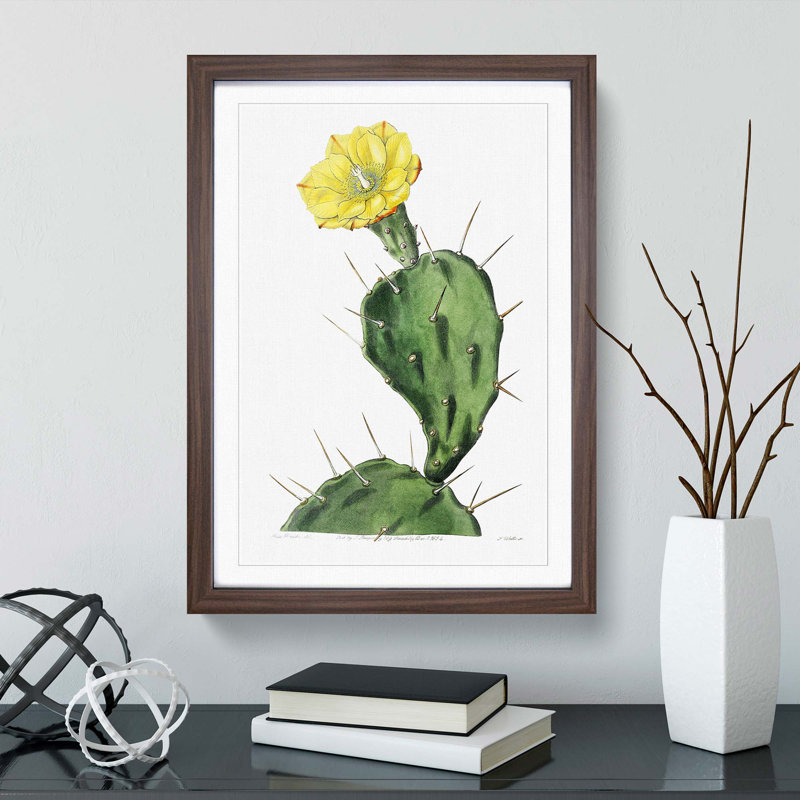 Flowering Prickly Pear Cactus - Framed Print, Walnut Framed, 48cm H x 36cm W x 2cm D