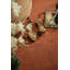 Waldoboro Rectangle Hand Woven Area Rug-823690003