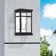 Swann Wall Light