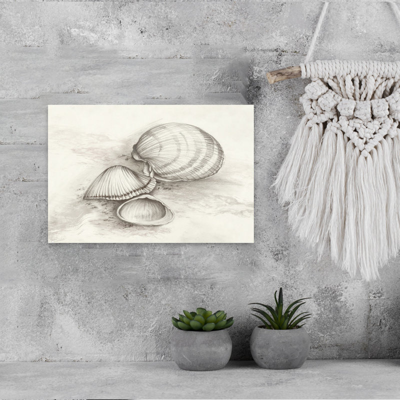 Seashells Resting On Sand by Eli Jones - Wrapped Canvas Print, 30.48 cm H x 45.72 cm W