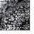 Brandt Floral Area Rug-1841293451-1802233234