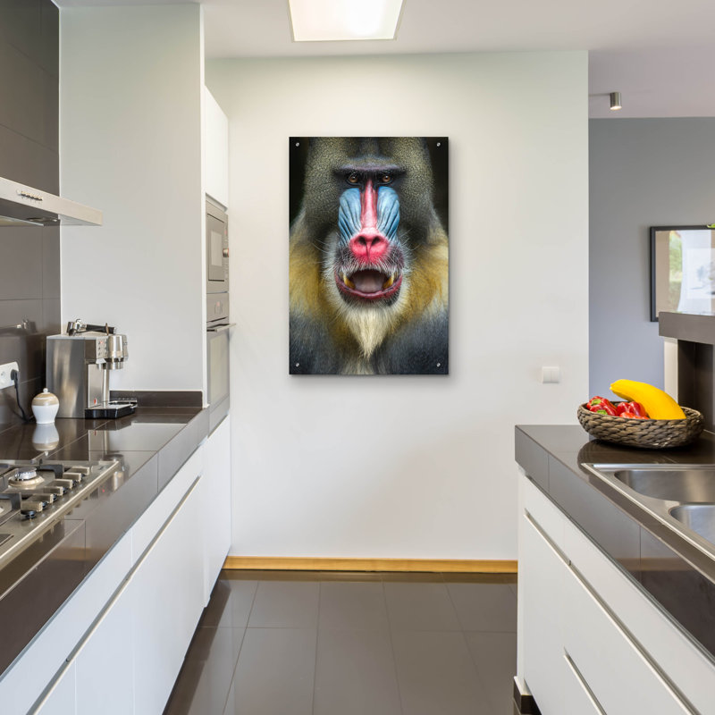 " Mandrill 2 " by SD Smart, 36" H x 24" W x 0.2" D