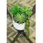 10.5'' Faux Succulent