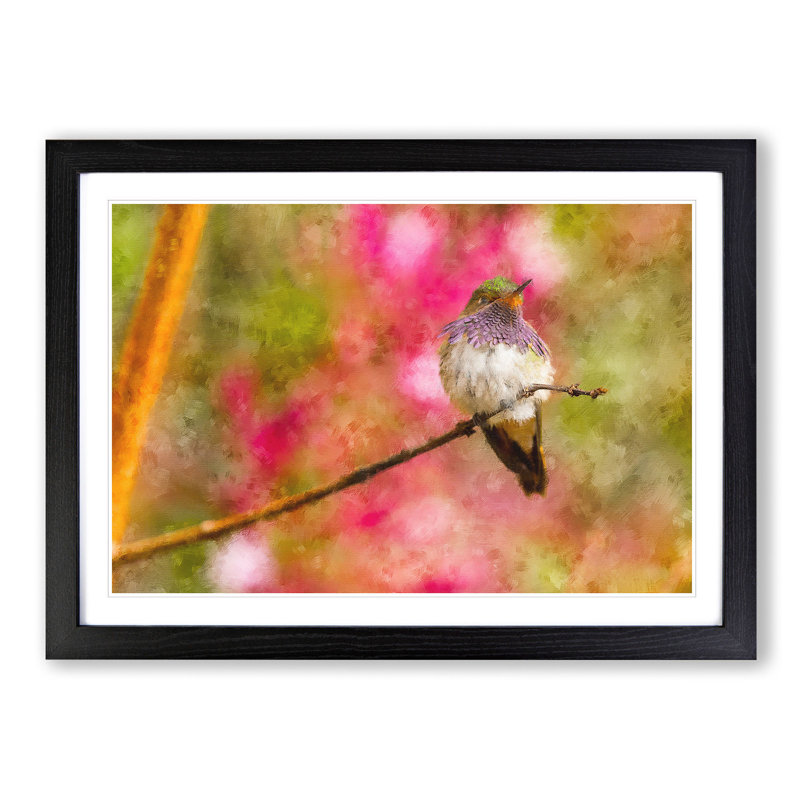 Hummingbird - Picture Frame Graphic Art Print, 27cm H x 36cm W x 2cm D, Black Framed