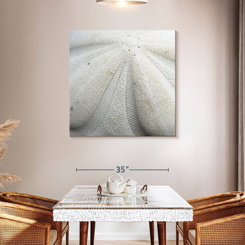Crowle Textured Sand Dollar, 39" H x 39" W