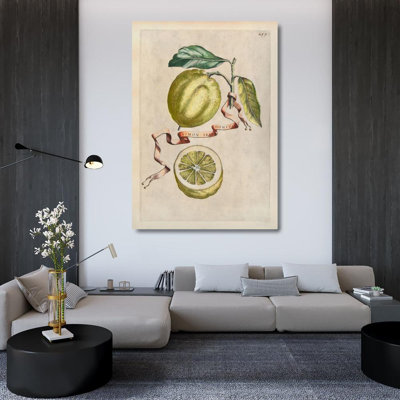 Baroque - Citrons