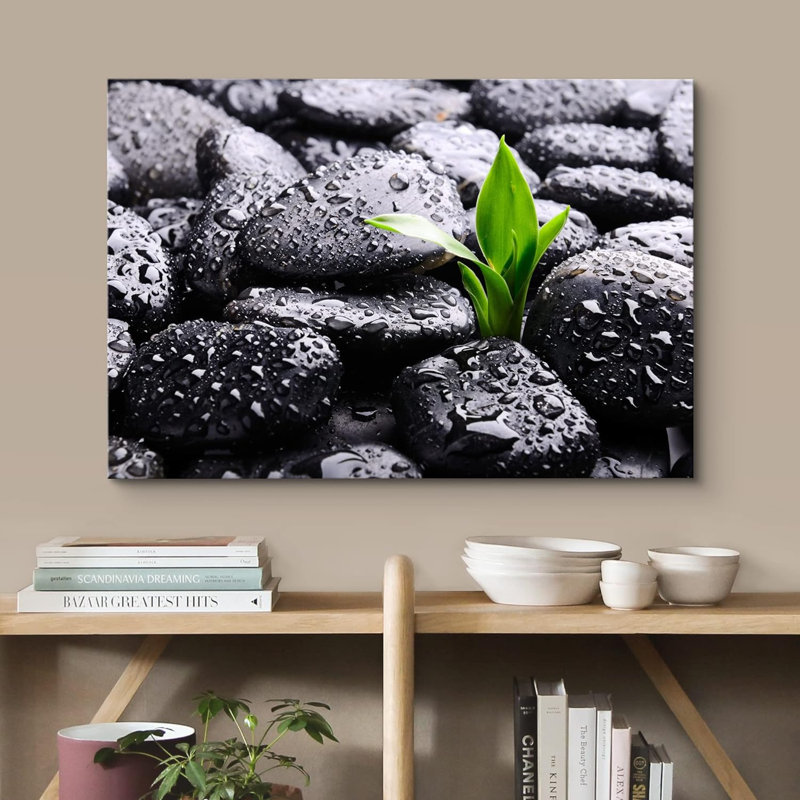 «Raindrops on Black Zen Rocks with Sprouting Plant Floral», reproduction sur toile