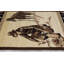 Tapis berbère en polypropylène Jordy-87774547