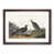 Walnut Framed