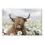 Impression sur toile Highland Cow and Dandelions-1950826312