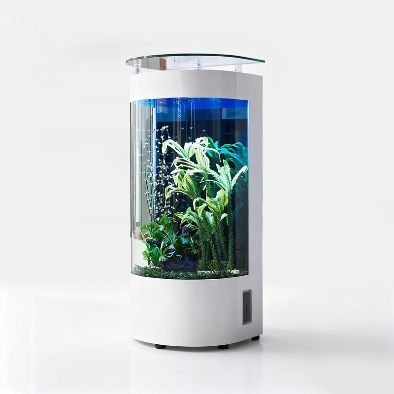 Aquarium semi-circulaire à filtration arrière avec barre supérieure, Blanc