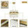 Anupama 1 - Light Unique LED Chandelier
