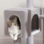 Arbre à chat d'intérieur avec hamac, 2 perchoirs, poteaux à griffer et grand condo pour le divertissement et le repos des chats