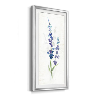 " Fresh Cut Lavender II "