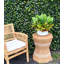 Outdoor Croton And Maranta Bush Arrangement In A Round Fiberstone Pot
