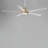 Isobel 60'' Ceiling Fan with LED Lights