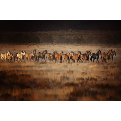 " Horse Run VII " Print