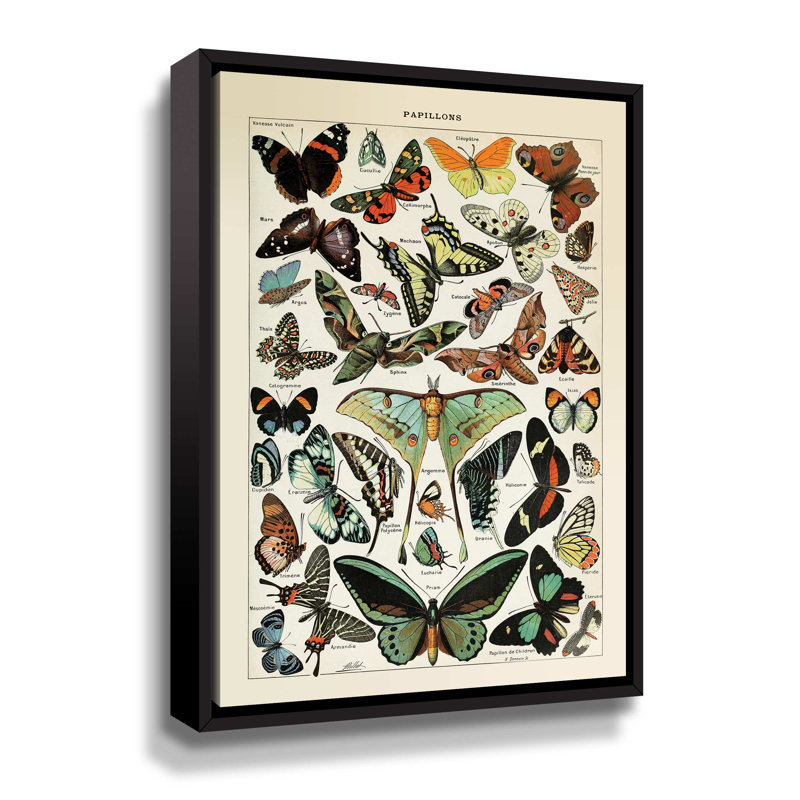 Papillons 1 - Impression sur toile, Cadre flottant noir, H 10 po x l 8 po x P 2 po