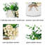 Arrangement in Vase