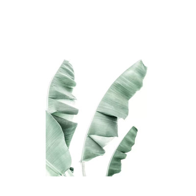 " Banana Leaf " by Sisi And Seb