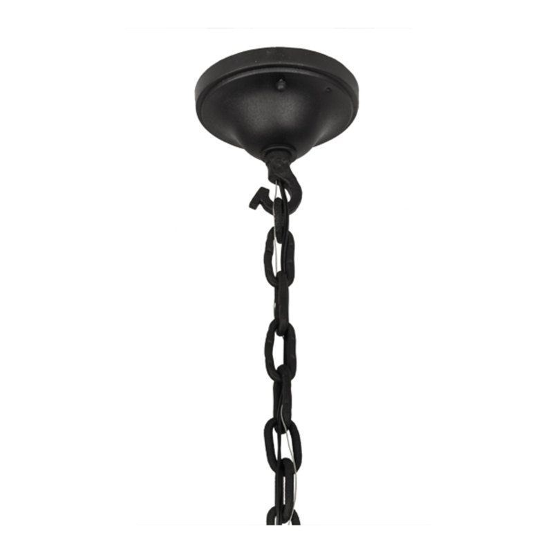 Luminaire suspendu de style lanterne noire à 1 lumière Haydel