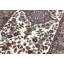 One-of-a-Kind 2'6" X 12' Area Rug