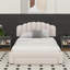 Lit Kaura-989277368