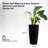 Self-Watering Pot Planter
