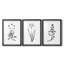 Inky Botanical I - ensemble de 3 reproductions d'art graphique-1118438681-1118438677
