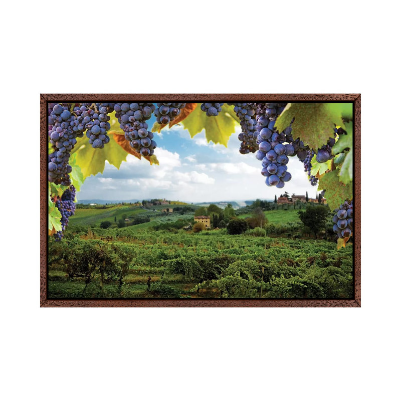 Vineyards In San Gimignano Italy by Susan Schmitz - Print on Canvas, 45.72cm H x 66.04cm W x 3.81cm D
