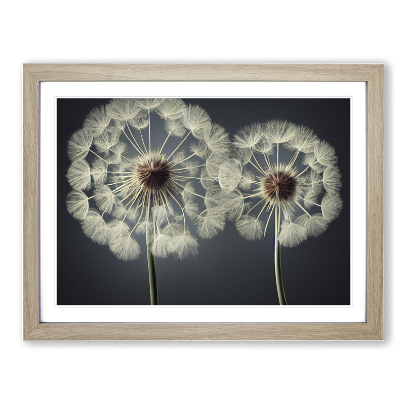 Creative Dandelion Flowers - Framed Print, 46cm H x 64cm W x 2cm D, Oak