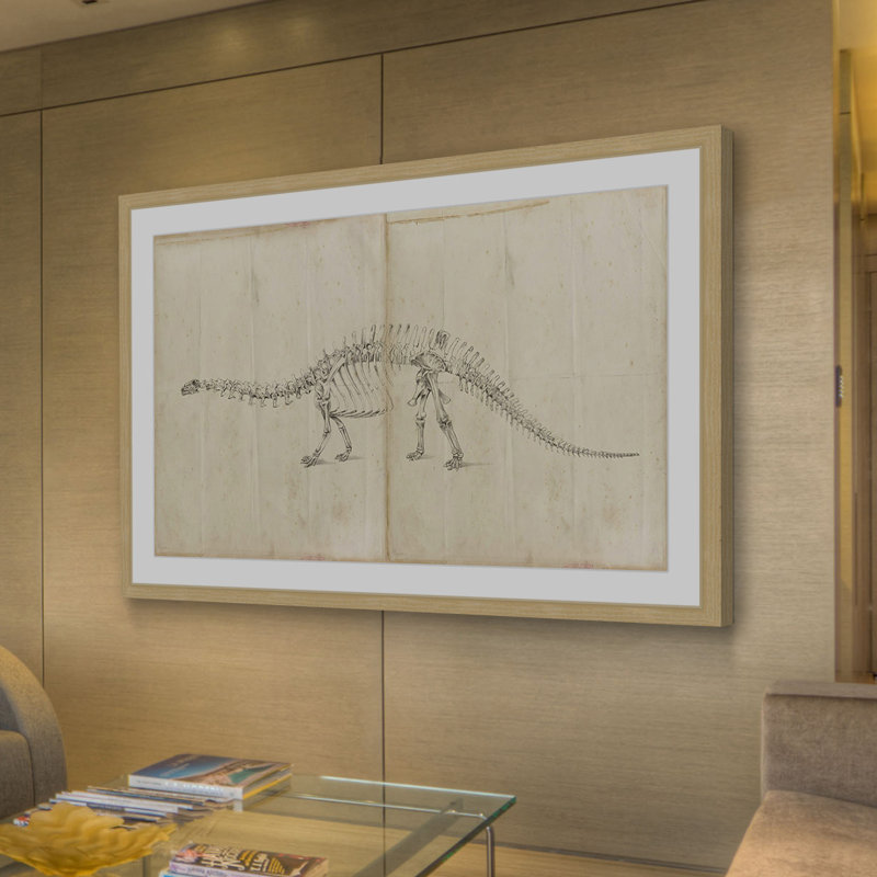 «Dinosaur Study I», reproduction encadrée, H 12 po x l 18 po x P 1,5 po