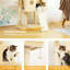 Tour pour chat 64 po-117069017