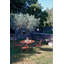 Balad Outdoor Lantern Accessory-83887088